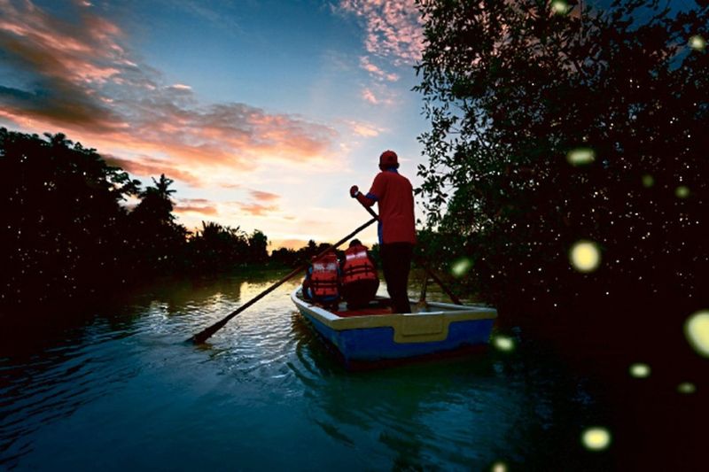 Kuala Selangor Nature Park, Malaysia