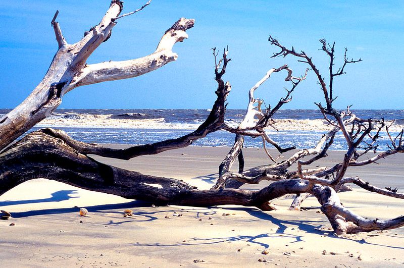 Blackbeard Island Beach