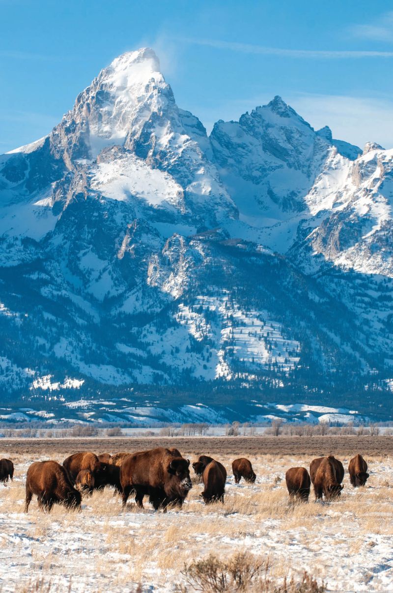 Jackson Hole, Wyoming