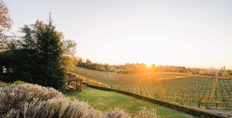 Placer County Wine Trail