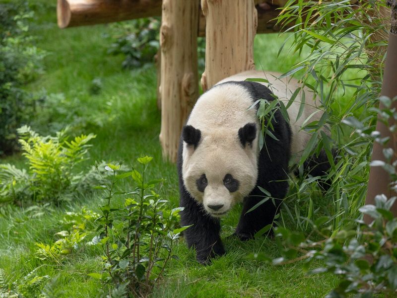 San Diego Zoo