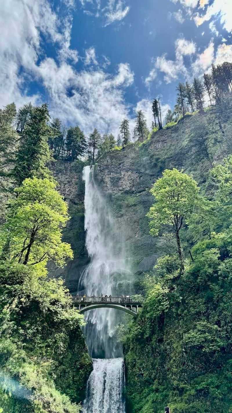 Columbia River Gorge Highway: Waterfall Alley