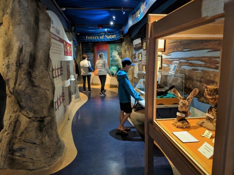 Morro Bay State Park Museum of Natural History
