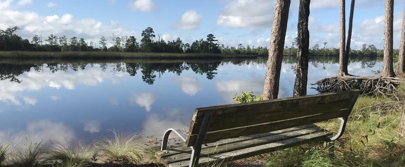 Picnic Spots with Scenic Views