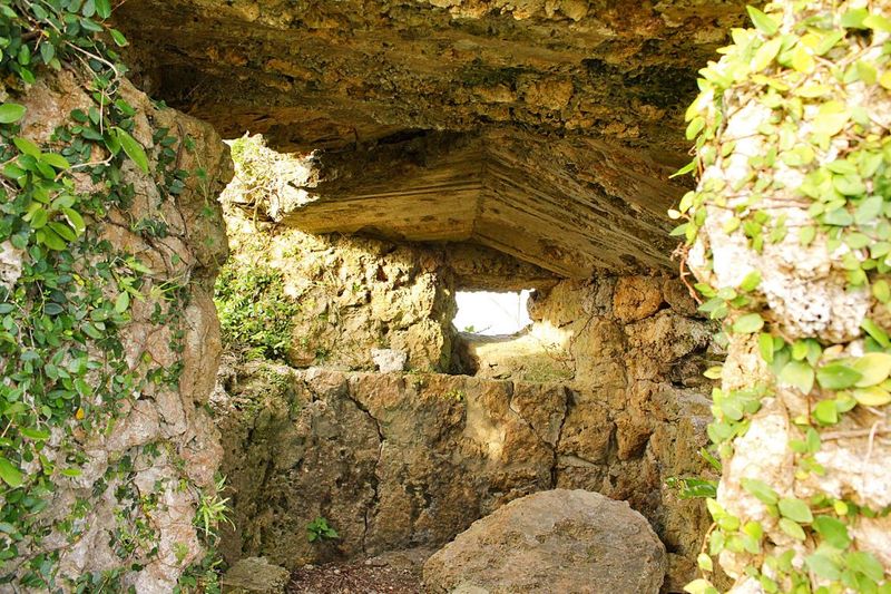 Japanese Island Fortress Reveals Biological Warfare Plans