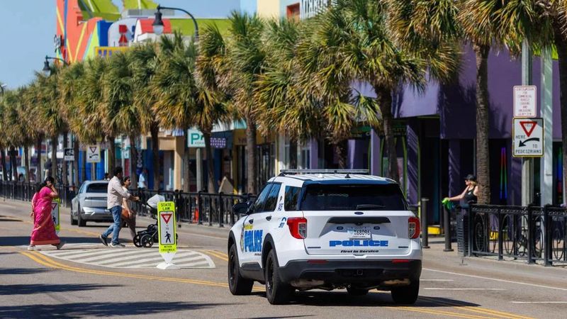 South Carolina: Palmetto Problems in Paradise