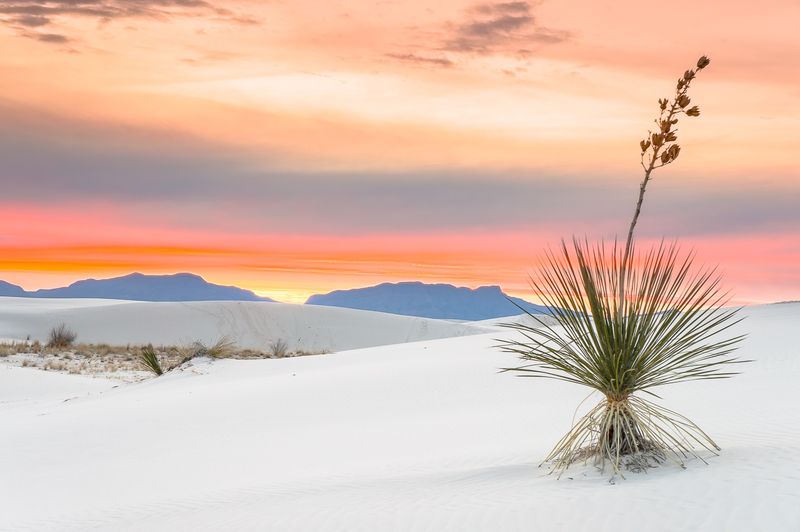 New Mexico: White Sands National Park