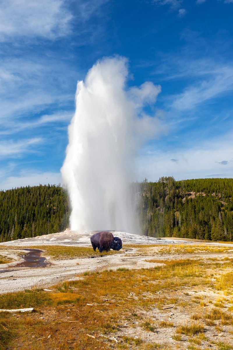 Yellowstone National Park, Wyoming