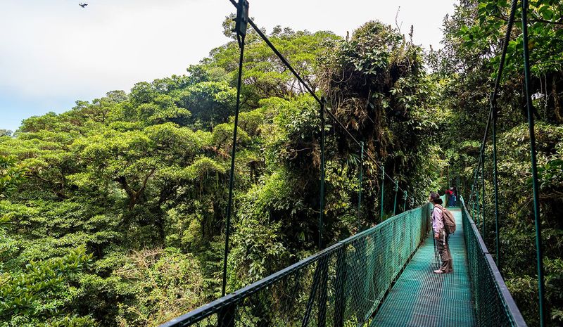 Costa Rica: Pura Vida Solo Style