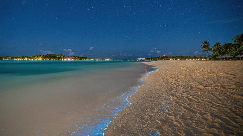 Maldives 🇲🇻