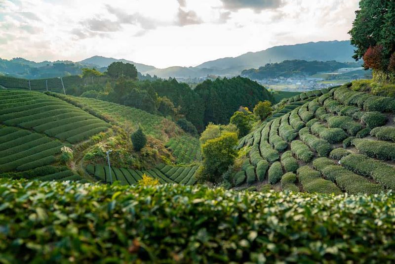 Kyoto, Japan