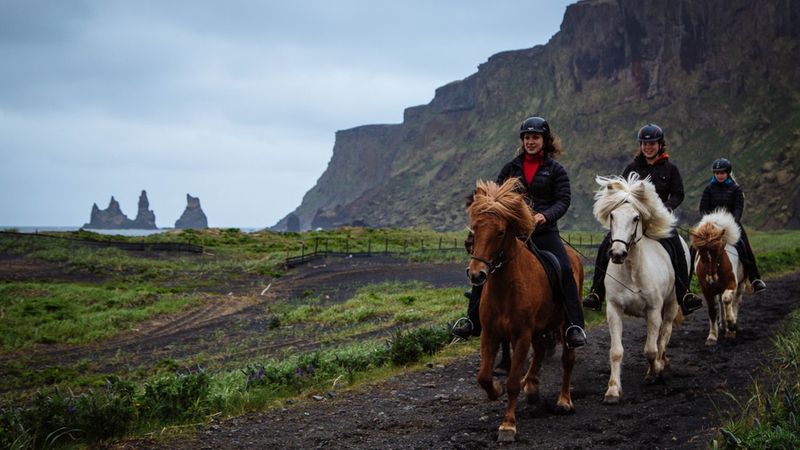 Icelandic Horseback Exploration
