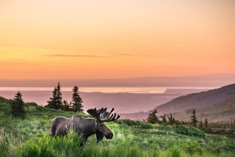 Anchorage, Alaska