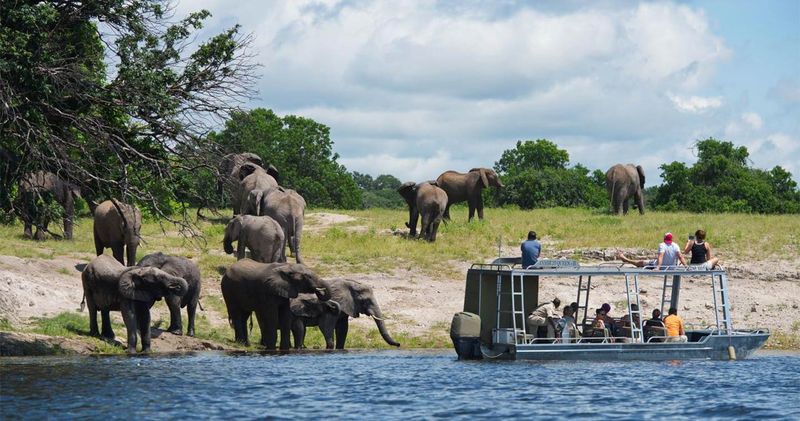 Chobe River, Botswana