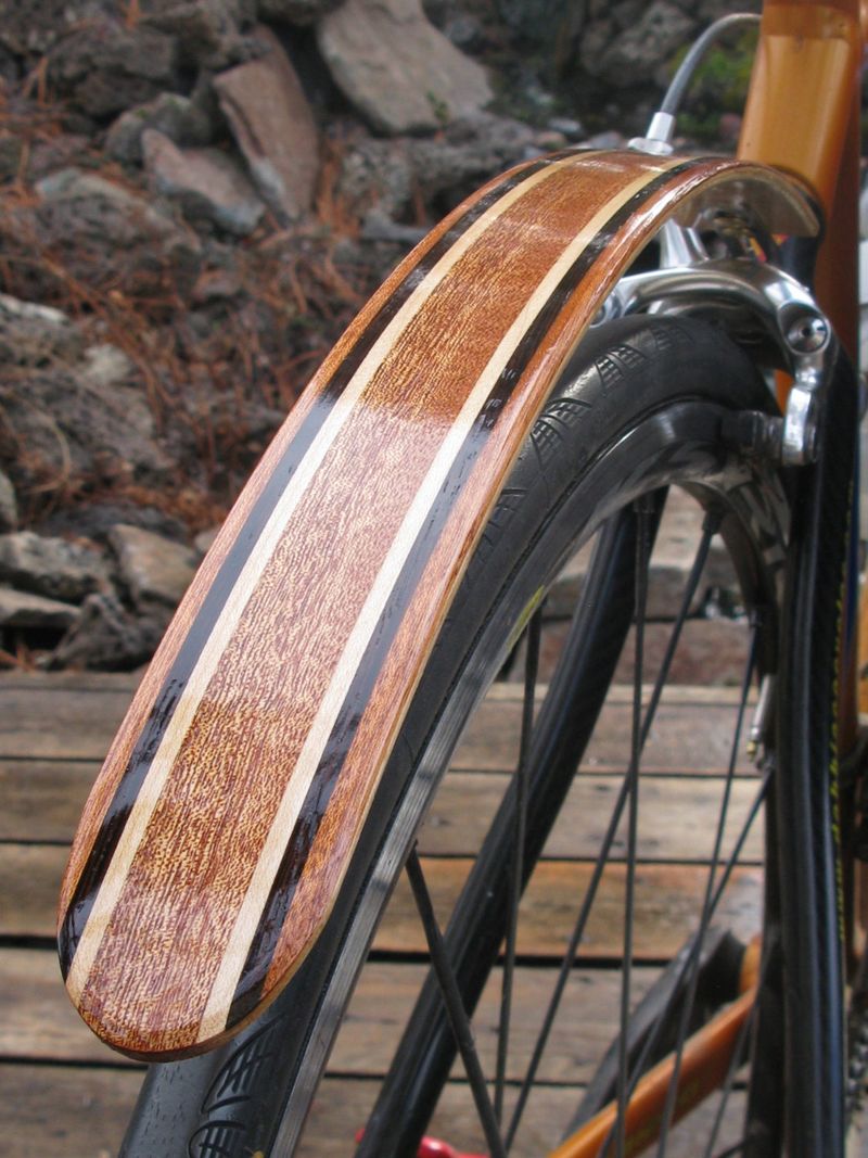 Bicycle Fender Regulations