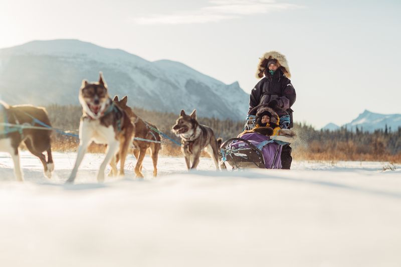 Dog Sledding in Yukon