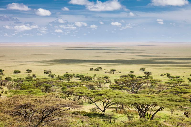 Tanzania