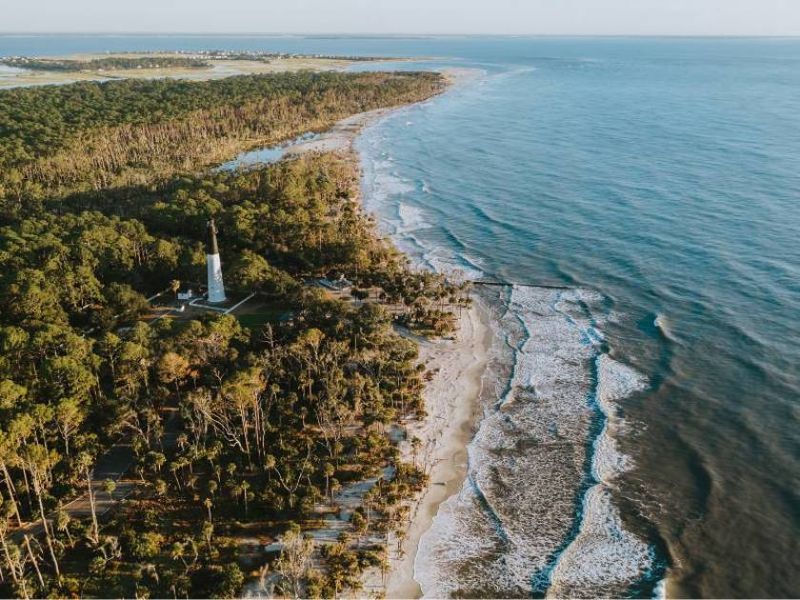 Maritime Forest Meets Beach at Hunting Island