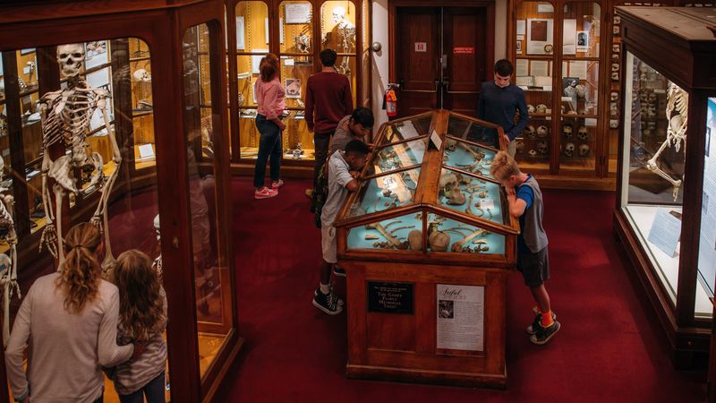 The Mütter Museum, Pennsylvania