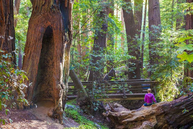 Pfeiffer Big Sur State Park
