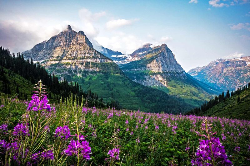 Montana's Glacier National Park