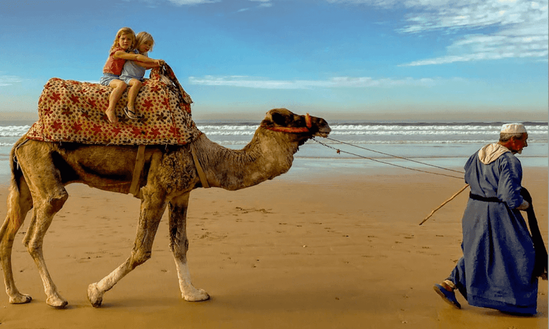 Include Cultural Exploration