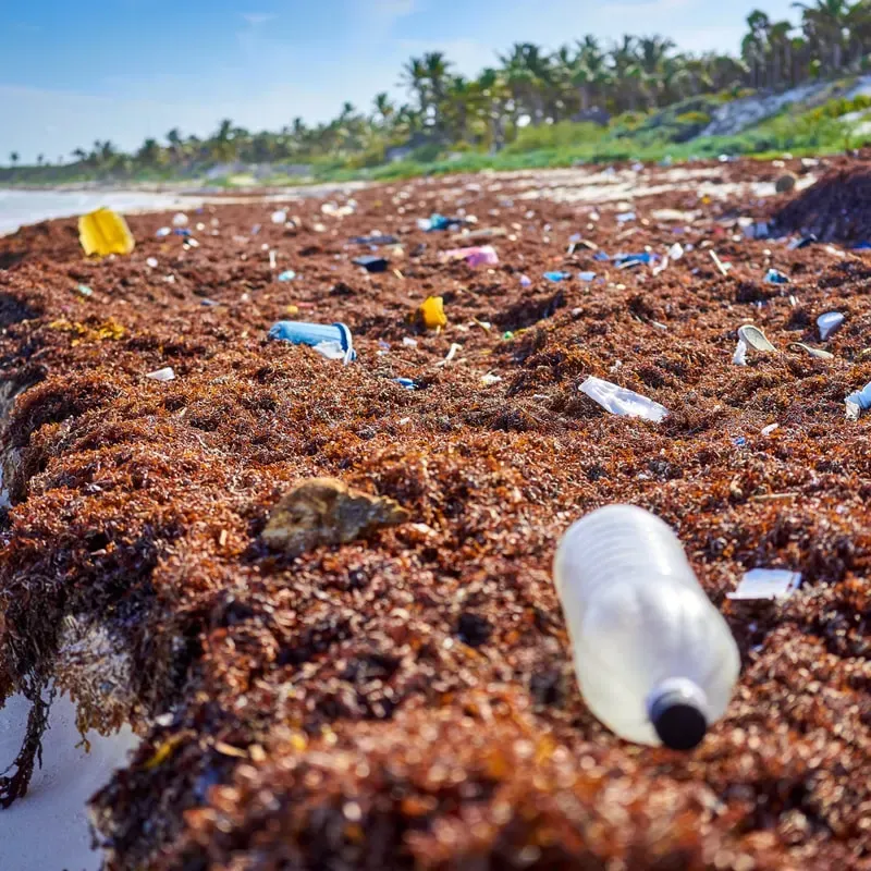 Environmental Degradation