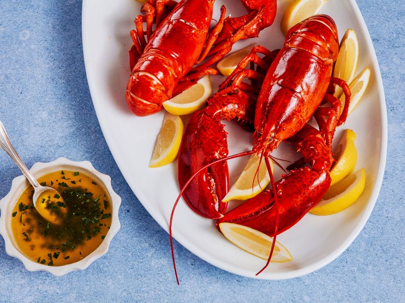 Lobster - The Ultimate Luxury