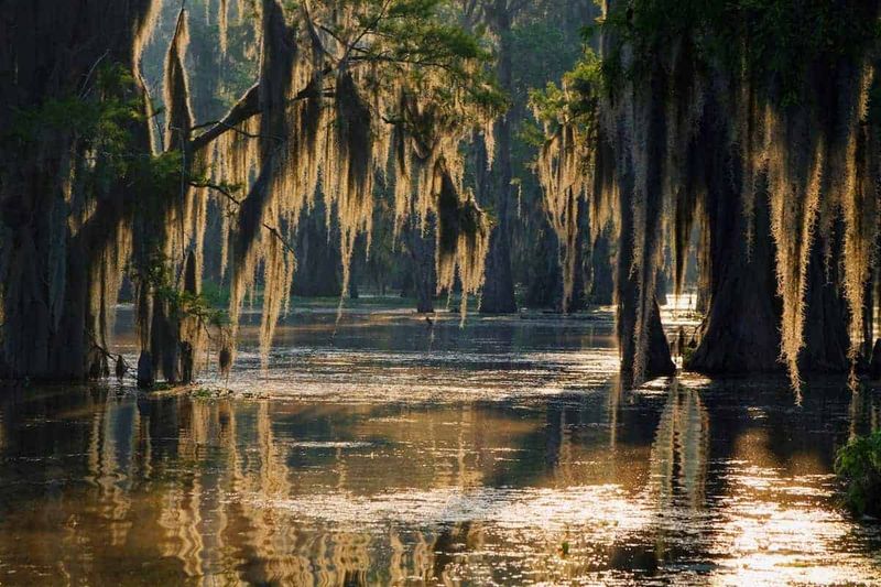 Bayou Country, Louisiana