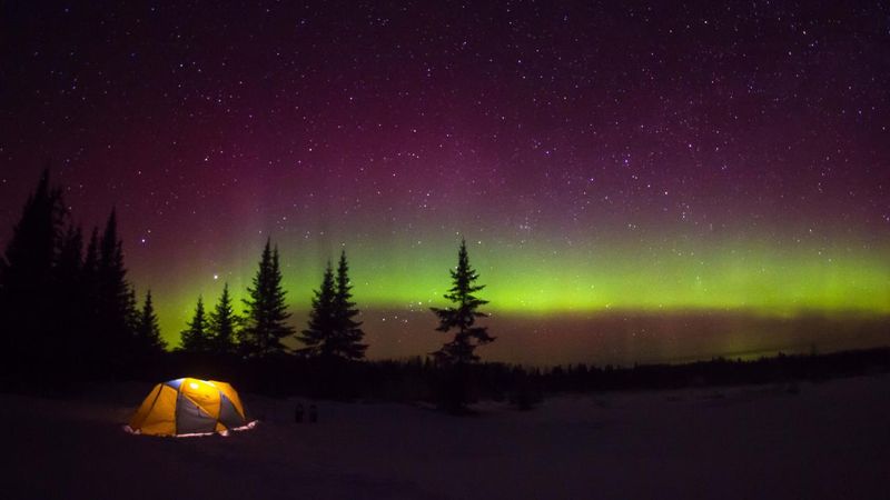 Witness Spectacular Northern Lights Displays