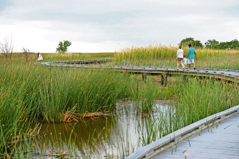 Drive the Creole Nature Trail