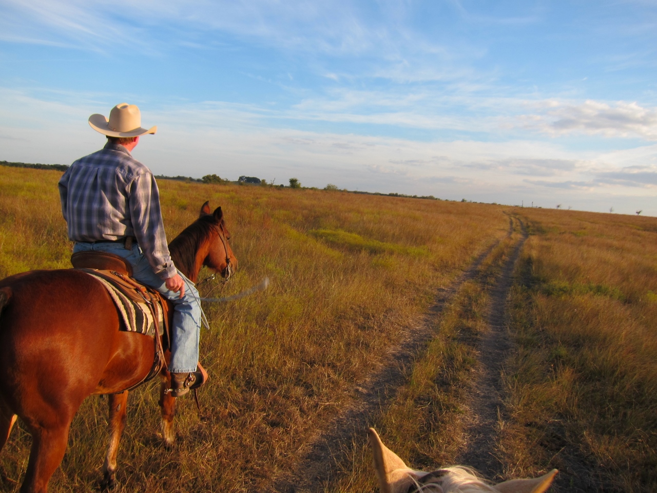 Learning Cowboy Skills at a Working Ranch