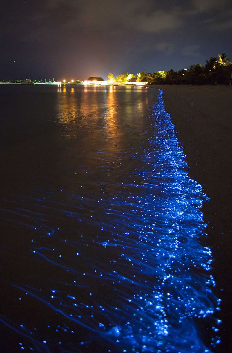 Bioluminescent Bay, Puerto Rico