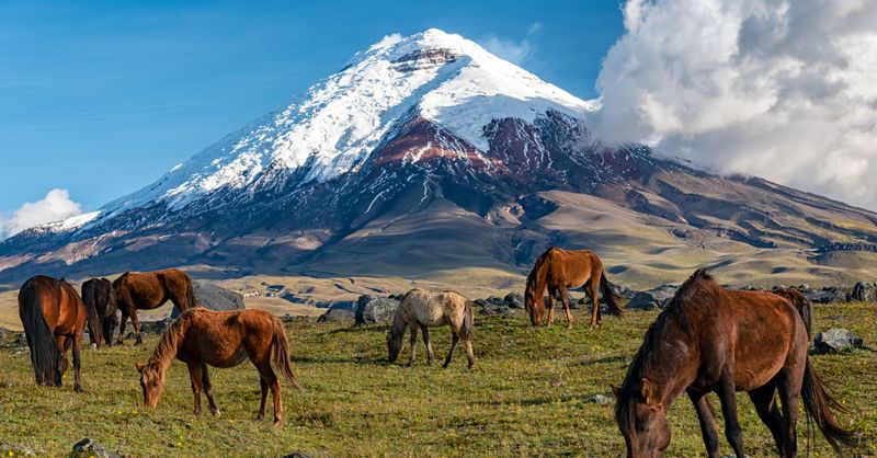 Cotopaxi, Ecuador