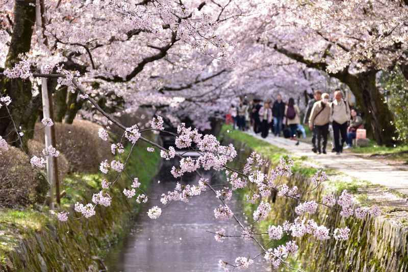 Kyoto, Japan