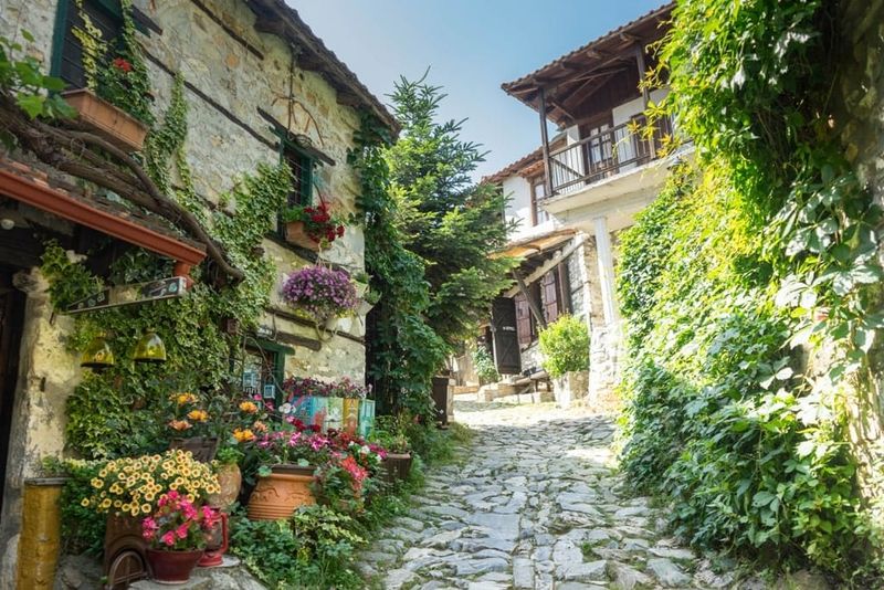 Visit Traditional Villages