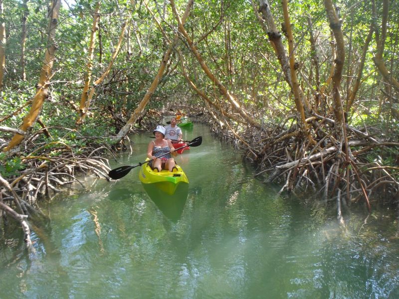 Mangrove Bay