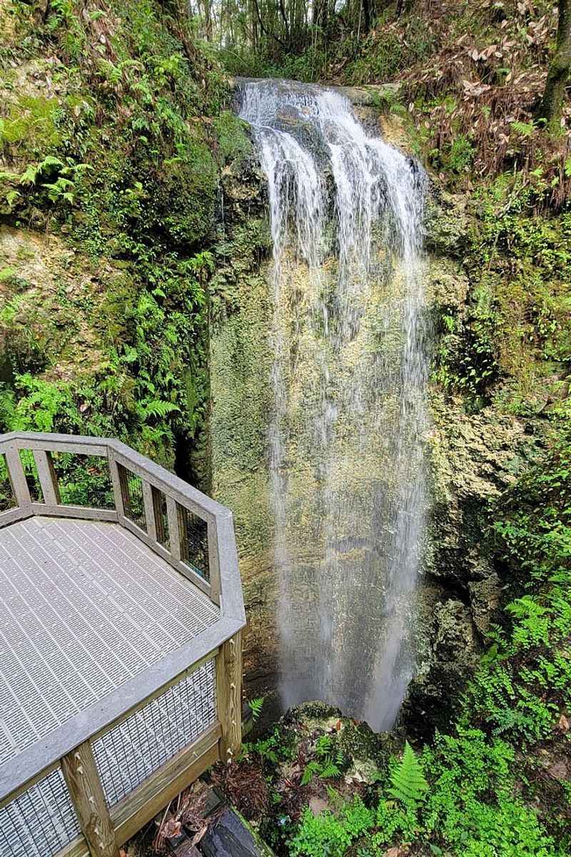 Year-Round Natural Beauty