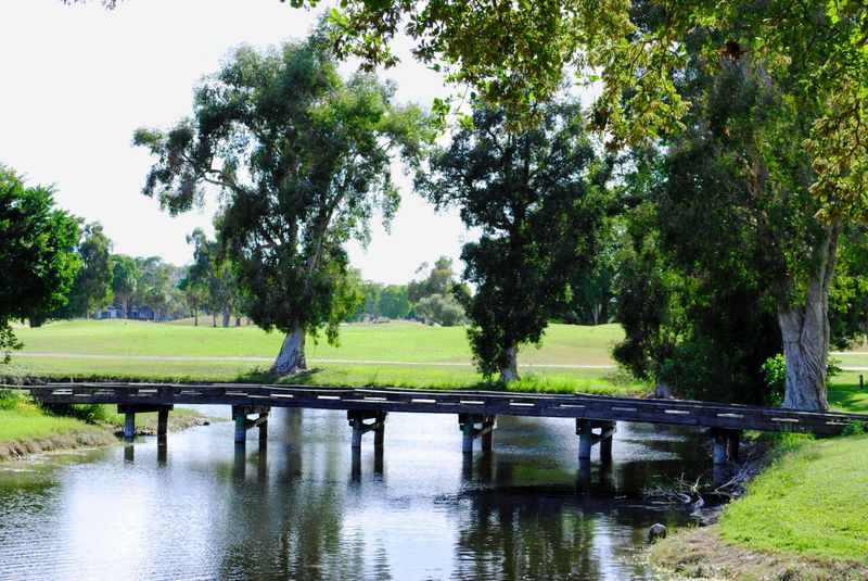 Outdoor Recreation Paradise