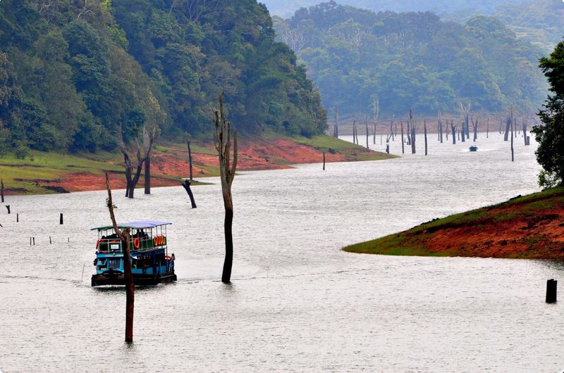 Periyar Tiger Reserve - Mountain Tigers of Kerala