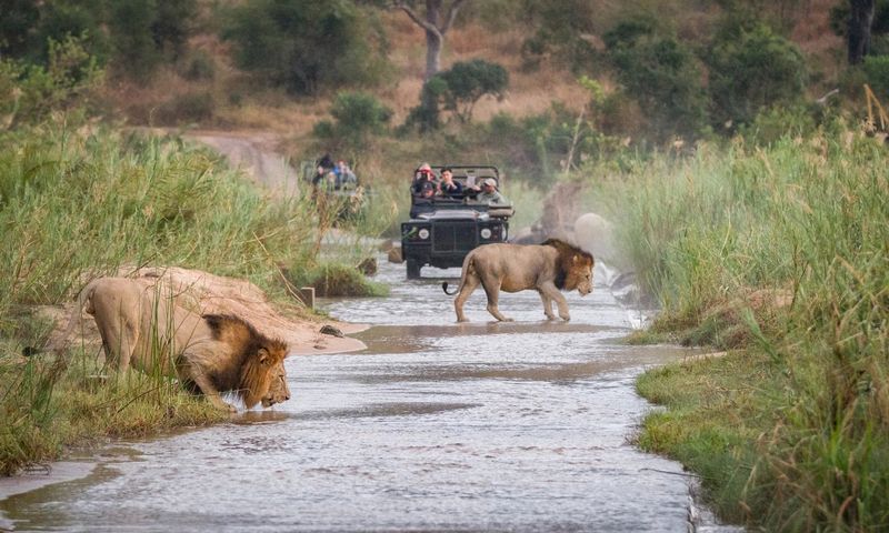 South Africa
