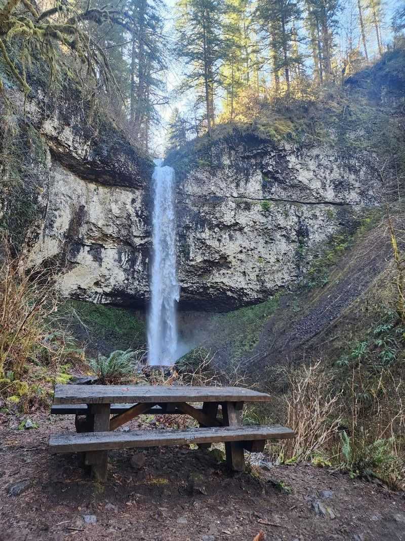 Oregon's Niagara Falls Delivers Dramatic Single-Drop Power