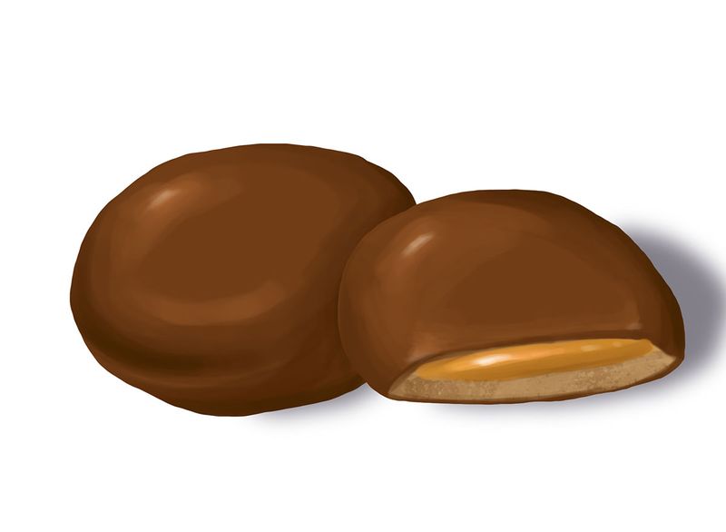 Girl Scout Juliettes Cookies
