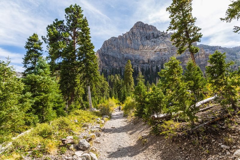 Mount Charleston