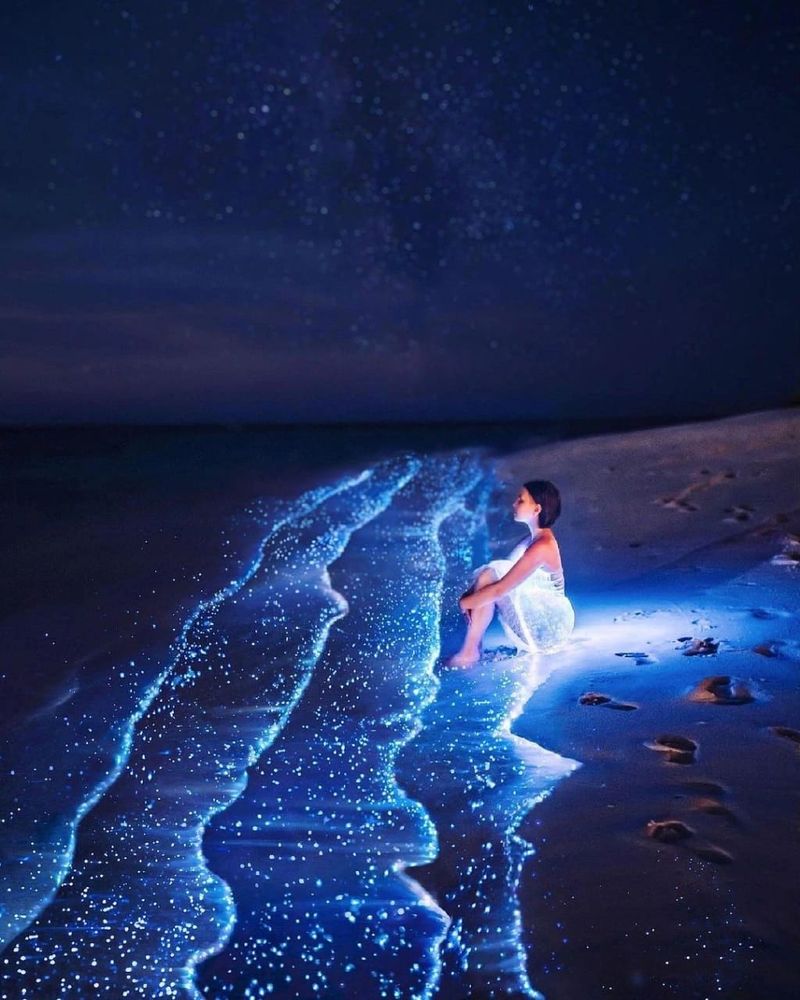 Bioluminescent Beach, Maldives