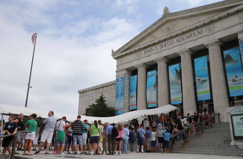 Shedd Aquarium (Chicago, IL)