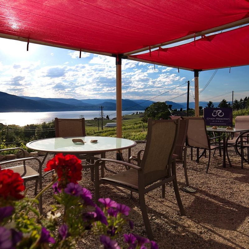 Chain Reaction Winery
