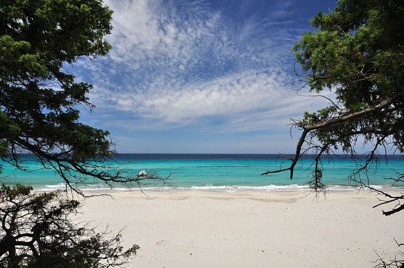 Plage de Saleccia