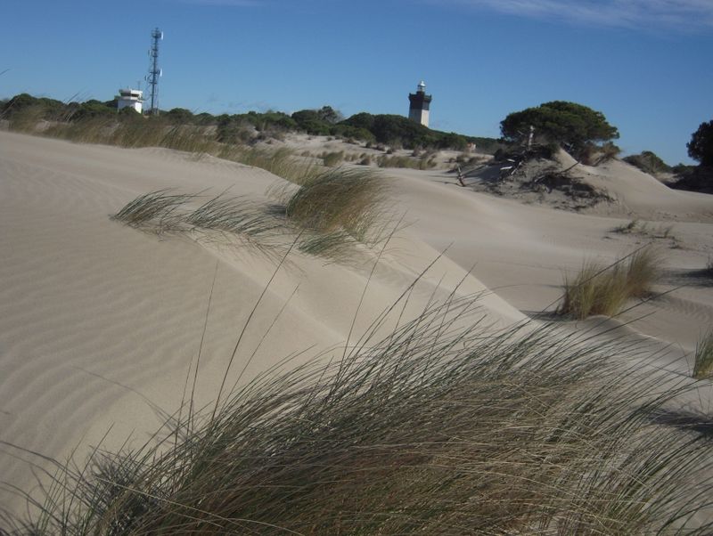 Plage de l'Espiguette