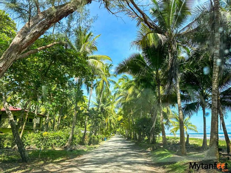 Playa Bejuco